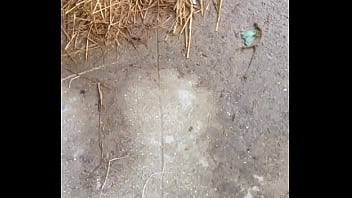 trim.1D9567DE-EC01-4CFA-872C-63D2C8CAC1E3