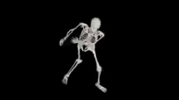 Esqueleto Corno Manso