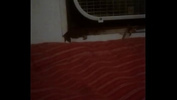 Video, Random, Nothing - Unknown - 2025 - Steamy - Show - Video 4541412