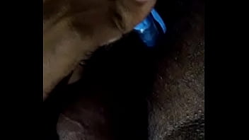 Desi Gay Ass Fucking With Pen