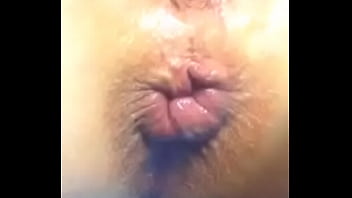 Funny Pussy And Ass
