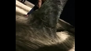 Praça Das Bandeiras Santos Viadinhos