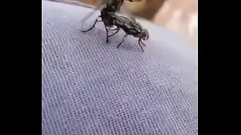 trim.D5DC2D74-90A8-4EF1-BCC3-CB954E691F0D