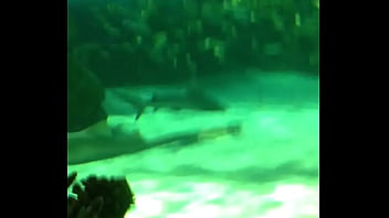 trim.5527A5FD-8423-455A-8324-28846D125266