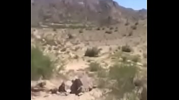 Fucking On Mountain/ S. Video