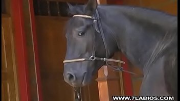 Semental Negro Con Gran Pene Negro