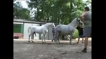 Analinvasionxxx-the New Challenge-424 03