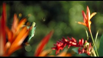 Acharam Que Iriam Comer Buceta, Mas Foram Gozados