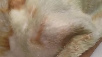 Video, Gay, Xxx, Soloboy - Gay - 2025 - Steamy - Scene - Video 4451272