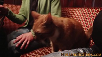 Real Whore Gets Oral Sex - cumshot, hardcore, european, real, amateur, oral, reality, dutch, euro, amateurs, hd, prostitutes, p - Video 4502400