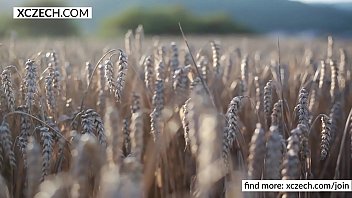 Sharon Cherry - Beauty In Sunset - Xczech.com