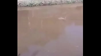 Foda De Frente Para A Lagoa