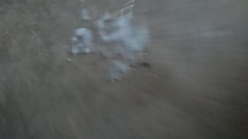 Lund, Soloboy, Bada - Unknown - 2025 - Passionate - Experience - Video 4477376