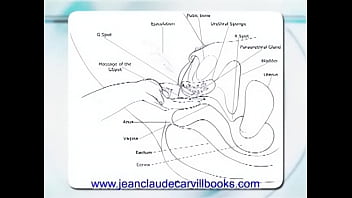 How To Stimulate Gspot And Get A Squirting Orgasm