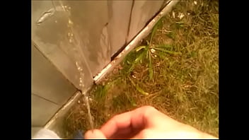 Pissing On Fence From Street