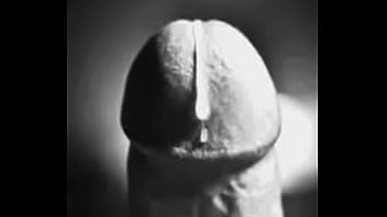 En, Camara, Venida, Lenta - Unknown - 2025 - Sexy - Show - Video 4191992