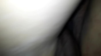 Con La Prima Violeta