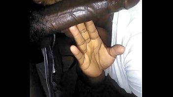 Midday Head Off The Couch