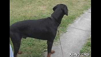 Teen Abased By Horny Neighbor - teen, hardcore, amateur, ball-sucking, pussysex, gf, hardcore-porn, couple-sex, hot-girl-pussy, hot- - Video 4362878