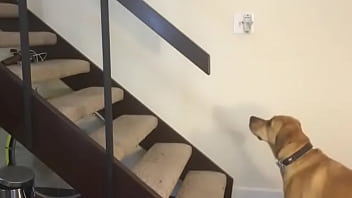 Humm... O Que Nos Temos No Cardápio De Hoje