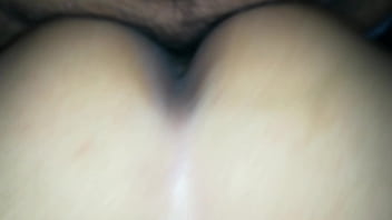 Mi Esposa De Perrito - esposa, en, cuatro - Video 4357693