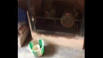 7CC2905C-A2F2-46F1-88A8-EC7B50905BCE