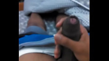 Novinho Pauzudo Moreno