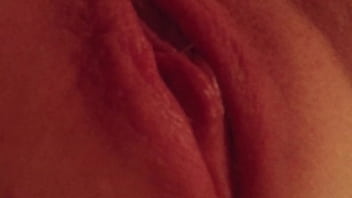 Pussypics - Anna Tara Ft. Solla (prod. Blkprty)