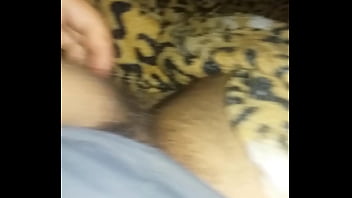 Solo, Brincando, Com, Pau, Soloboy - Solo_-_masturbation - 2025 - Amazing - Experience - Video 4321240