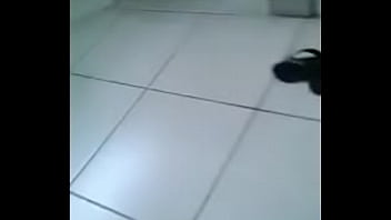 Instagram @mariana Cult - tranny, shemale, gay, mariana, cult, trans-dotada - Video 4371320