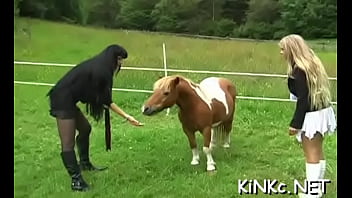 Hardcore Dick Castigation