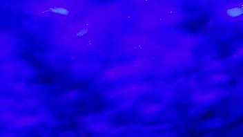 Mandie' Sister Megan B0ag