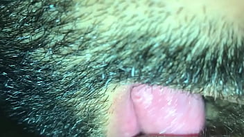 Amador, Caseiro - Unknown - 2025 - Sexy - Show - Video 4263911