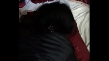 0EA3DF63-A7B2-41D1-BA2E-0938F1D895EF