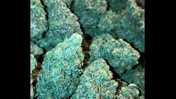 Christmas Nuggets Of Inspiration, To Get You High And Horny.