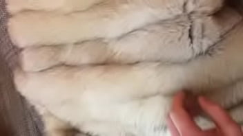 Teasing My Dick In Fur Coat