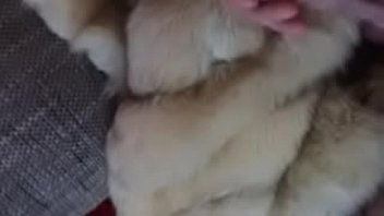 Fucking My Fur Coats 3
