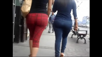 Dos Kines Venecas En El Centro 6