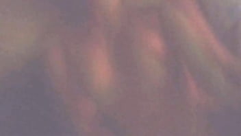 Tina Amateur Inexperienced