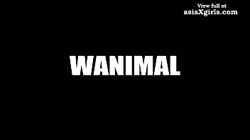 Couple Sex Art - Wanimal