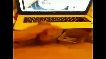 ^13DFED974D81DB66CAB114CA545BC2AB800800DBE783717486^pvideo distr