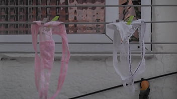 Tanga De Mi Vecina....mts