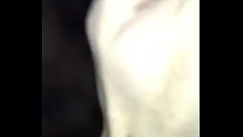 VID-20180111-WA0005 - Shemale-transexual-karina-y-tuxtla