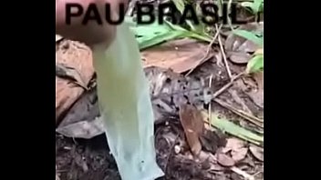 Pedropeloso E O Cú Largo Do _ndio Na Floresta Amaz_nica
