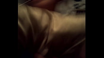 VID 20130212 202739