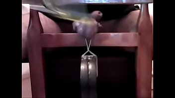 Small, Bdsm, Cam, Balls, Femdom, Smalldick, Cbt, Smallpenis, Ballbusting, Soloboy - Bdsm - 2025 - Steamy - Experience - Video 4007972