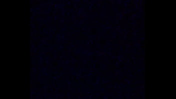 Doggy, Amatuer, Gf - Unknown - 2025 - Wild - Show - Video 4000397