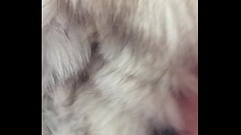 No Better Feeling As Fucking A Fur Coat