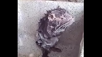 Safada, Vagabunda, Novinha - Unknown - 2025 - Wild - Scene - Video 4108456