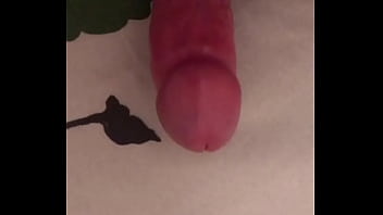 7EC3FF4B-61B1-4D5D-8D9B-C18917E60136